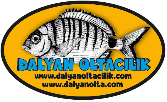 Balik Tekne Turu -
